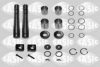 IVECO 1904816 Repair Kit, kingpin